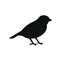 crow on a white background