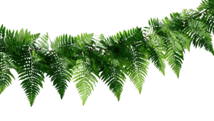 A detailed close-up of a fern-like garland against a solid black background