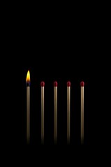 A row of five matchsticks standing upright again black background. right one is only burning shows a bright mind or a unique person