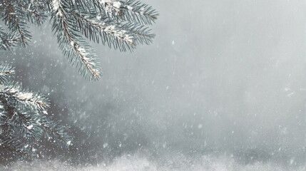 A snowy background with falling snowflakes and pine branches, suitable for displaying winter scenes. Features include snow-covered landscapes and falling snowflakes.