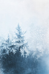 Frost-covered window with blurred winter tree silhouette