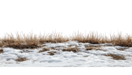 A cut-out photo showcasing snow-covered ground with dry grasses against a black background