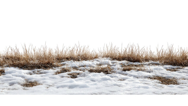 A cut-out photo showcasing snow-covered ground with dry grasses against a black background