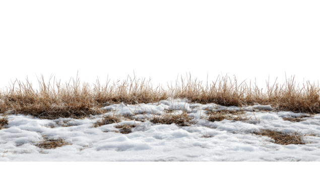 A cut-out photo showcasing snow-covered ground with dry grasses against a black background