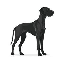 Fototapeta premium Elegant Black Great Dane Standing Profile, Vector Illustration