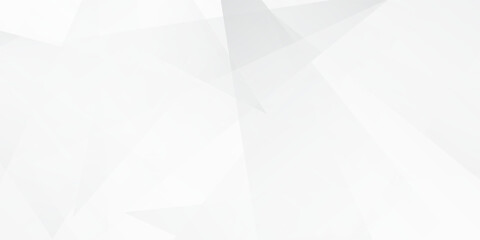 Modern white and gray modern background. Vector Illustration abstract simple