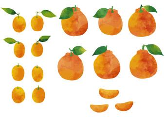 水彩風 デコポンと金柑のイラストセット2（葉っぱ付きあり）Winter Fruits Series:Watercolor illustration set of Dekopon and Kumquat (with leaves)