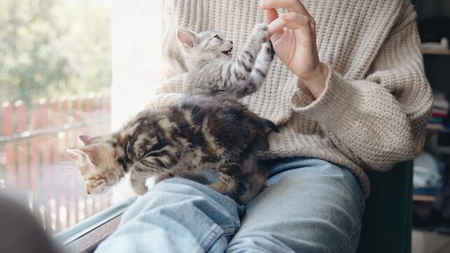 A young woman is playing with cute little kittens sitting on the windowsill of a country house