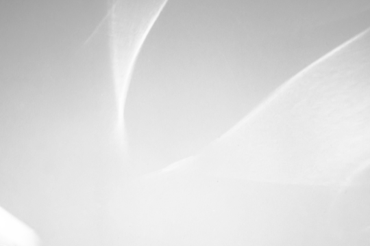 Abstract shadow drop on white wall background overlay mockup effect