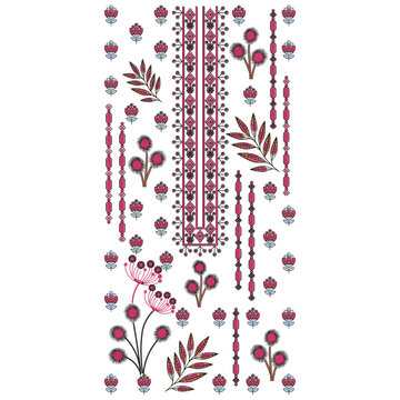 Isolated asian indian embroidery neckline and lace border design , daman design and all over shirt front design women wear for digital and textile print on fabric.
