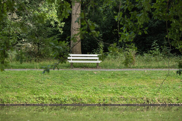 Peaceful park scene with a white bench by the water and lush greenery