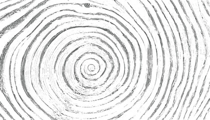 Gray spiral wood grain texture vector