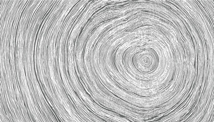 Concentric gray lines forming a circular pattern abstract background