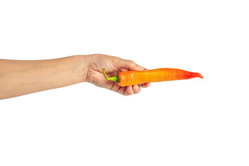 Orange sweet pepper in hand on transparent background