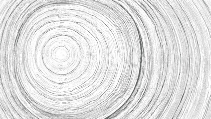 Concentric grey lines on white background abstract circle