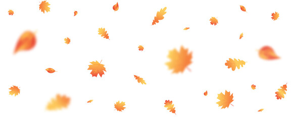 Autumn leaf flying frame. October foliage wave background. Thanksgiving day card. Fall maple composition. Oak leaves decor september poster. Orange plant. Harvest party invitation.Vector illustration