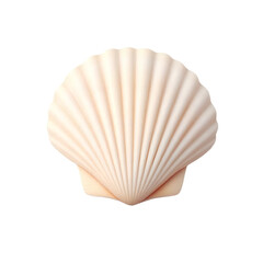 Fototapeta premium Seashell isolated PNG, studio soft light, warm tone, transparent background.