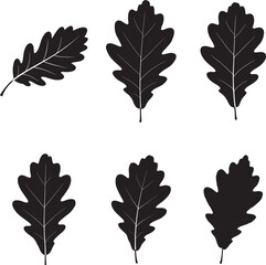Collection of six black oak leaf silhouettes with textured detail on a white background silhouette