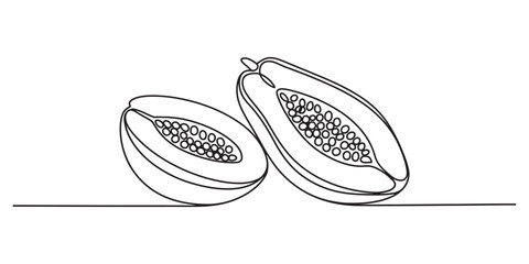 Continuous single line drawing of a halved papaya fruit showing its seeded interior a simple yet elegant minimalist artistic illustration vector