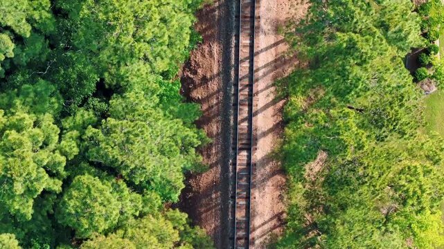 Aerial top down of Richmond Hill train tracks in forest sunny summer day in Bryan County Georgia