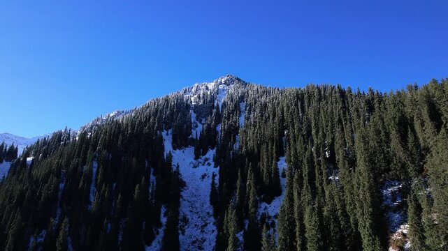 Majestic Mountain Landscape with Snow-Capped Peaks and Lush Evergreen Forest Under a Clear Blue Sky