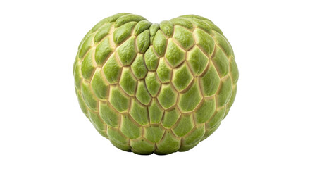 Isolated Sugar apple fruit, also known as sweetsop, is round shape and green color fruit
