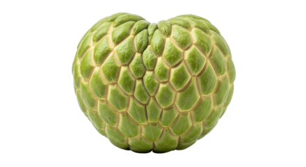 Isolated Sugar apple fruit, also known as sweetsop, is round shape and green color fruit