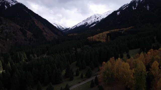A Stunning Aerial Perspective of Majestic Snow-Capped Mountains Surrounded by Vibrant Autumn Foliage in a Lush Forest Landscape.