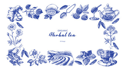 Hand drawn vintage sketch tea and herbs frame. Isolated vector illustrations on white background © pim