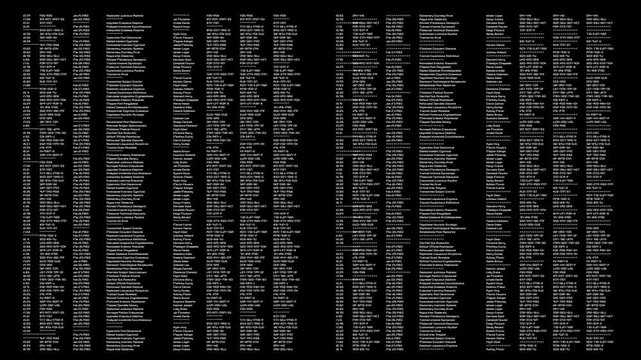 A scrolling matrix of data with file names and codes. The background of the digital interface.