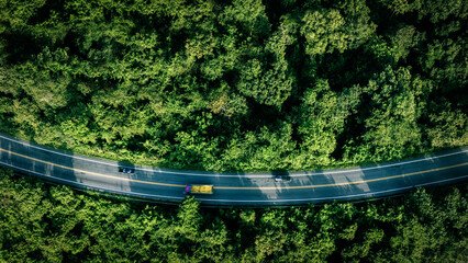 Top view road in beautiful autumn forest at sunset, trees with red and orange leaves , Beautiful landscape view from flying drone in Nature	
