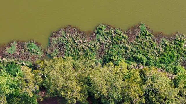 Aerial top down of Richmond Hill nature pond in forest sunny summer day in Bryan County Georgia