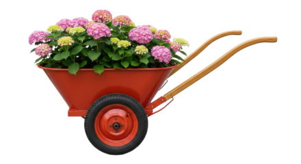 Isolated red wheelbarrow filled with colorful flowers, gardening tool with flowers inside