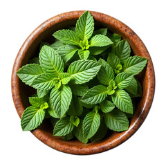 Fresh Papermint leaves in wooden bowl top view isolated on transparent background
