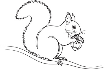 Outline Illustration of a Squirrel Holding a Nut on a Branch