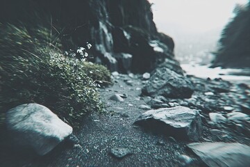 Mountain riverbank path in grayscale, rocky, with plants