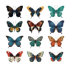 Insect gallery a vibrant display of colorful butterflies in nature isolated on transparent background