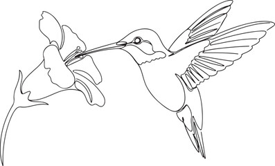 Minimalist Line Art of Hummingbird Hovering by a Flower