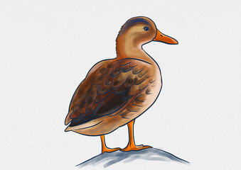 A detailed collection of hand-drawn fish illustrations featuring diverse freshwater and saltwater species like Carp, Hilsa, Tilapia, and Rohu. Each piece comes in a vibrant watercolor-style coloring.