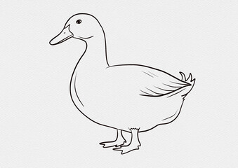 A detailed collection of hand-drawn fish illustrations featuring diverse freshwater and saltwater species like Carp, Hilsa, Tilapia, and Rohu. Each piece comes in a vibrant watercolor-style coloring.