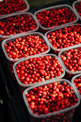 Multiple plastic containers filled with bright red cranberries neatly arranged for sale, likely at an outdoor market or produce stand