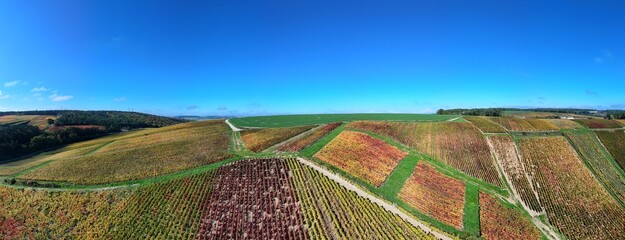 vue aérienne et panoramique des côteaux des Riceys, le plus grand terroir de toute la Champagne,...