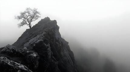 Obraz premium Solitary tree on a dramatic cliff edge in a foggy landscape