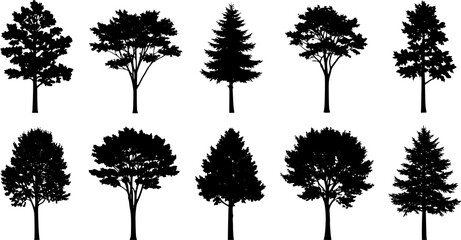 Silhouette trees set of various types, black monochrome vector illustration.