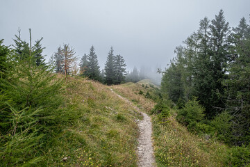 Obraz premium On hike from Gemeindealpe 1626 m summit down to Erlaufsee lake at 827 m, Lower Austria Limestone Alps in Mitterbach am Erlaufsee municipality, Styria, Austria