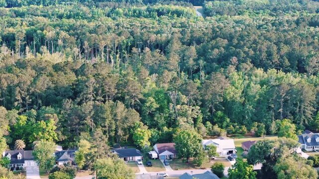 Aerial landscape of Richmond Hill trees in forest sunny summer day in Bryan County Georgia