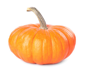 One whole ripe pumpkin isolated on white