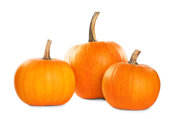Different whole ripe pumpkins isolated on white