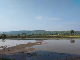 Rice fields ready for planting with mountains and clear blue skies in the background. This landscape is located in Sukoharjo, Central Java, Indonesia.