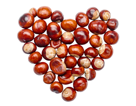 autumn leaves and chestnuts heart isolated on transparent background, png file of heart shaped autumnal leafs and chestnuts